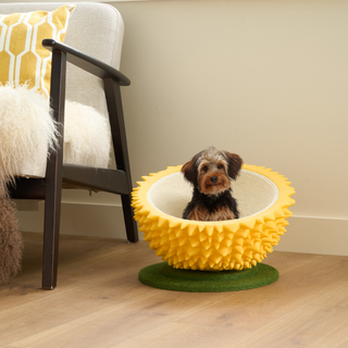 3-in-1 Durian Cat Bed