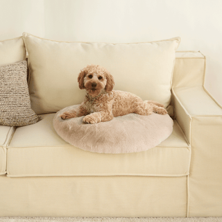 Fur Cloud Dog & Cat Mat