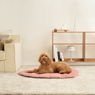 Leaf Lounger Dog & Cat Blanket