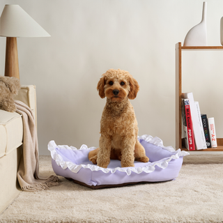 Plush Pal Dog & Cat Bed