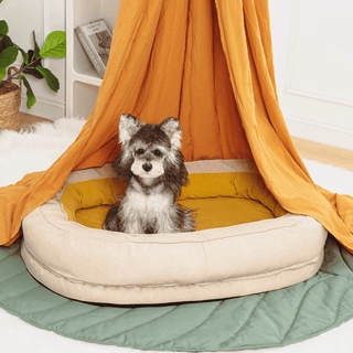 Dozy Donut Dog & Cat Bed