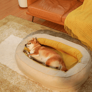 Dozy Donut Dog & Cat Bed