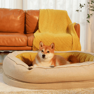 Dozy Donut Dog & Cat Bed