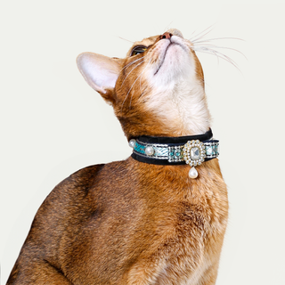 Velvet Choker Collar for Cats