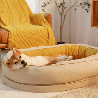 Dozy Donut Dog & Cat Bed