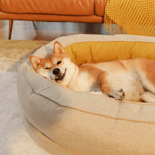 Dozy Donut Dog & Cat Bed