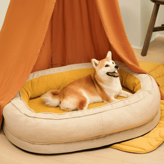 Dozy Donut Dog & Cat Bed