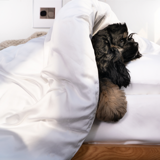 FURFREE Bamboo Duvet Cover Set- Pet Hair Repellent for Dogs/Cats Family - Final Sale