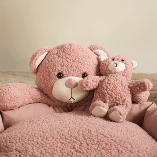 Snuggle Teddy Pet Bed