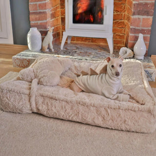 Warming Fluffy Bone Cloud Shape Calming Dog Bed