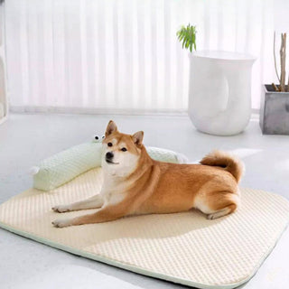 Natural Cooling Neck Guard Dog & Cat Bed