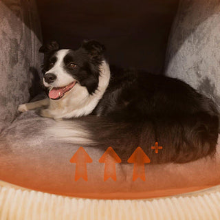 Warm Flannel Detachable Semi-Enclosed Large Dog Bed