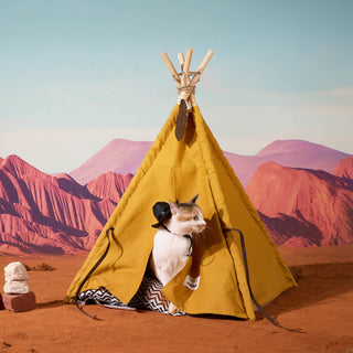 ZEZE Pets Teepee Tent