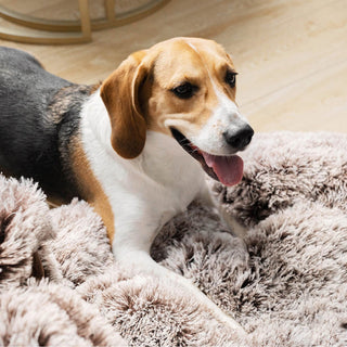 Large Round Dog Bed - Plush Paw