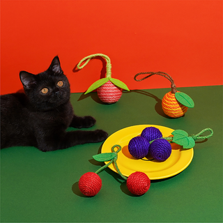 ZEZE Pets Tropical Fruit Cat Toys