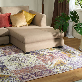 Waterproof Classic Collage Persian Plush Rug