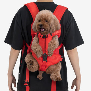 Dog Dog & Cat Carrier Bag Backpack - Cockpit