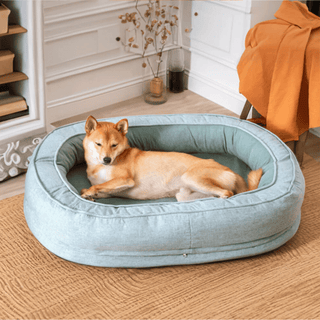 Dozy Donut Dog & Cat Bed