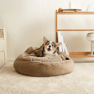 Semi-Enclosed Plush Peace Dog & Cat Bed