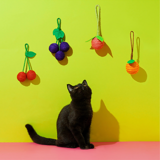 ZEZE Pets Tropical Fruit Cat Toys