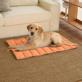 All-Weather Moisture-Proof Pet Mat