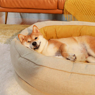 Cozy Donut with Superior Comfort and Style Premium Dog & Cat Bed